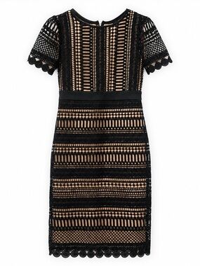 NWT Gabby Skye Black Lace Nude Lined Cocktail Dress Size 8